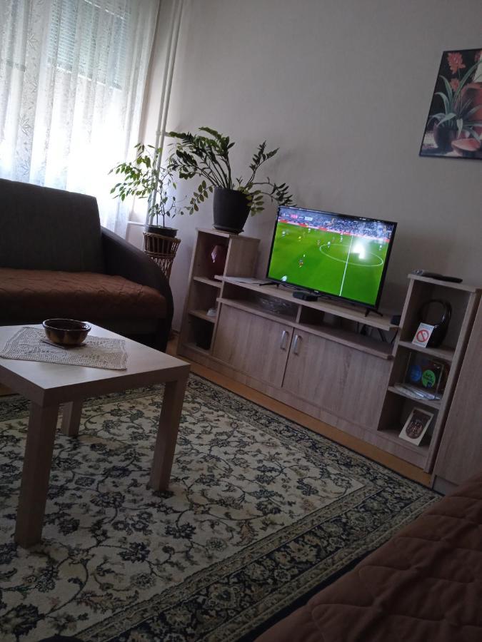 Apartman Nikolic Bor Dış mekan fotoğraf